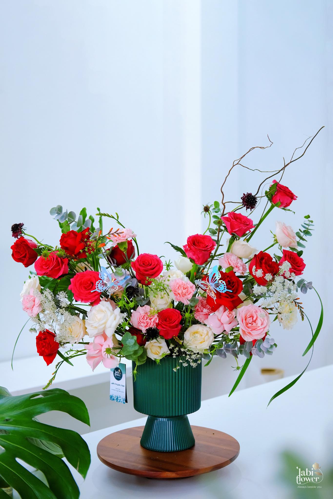 HOA THẢ BÌNH HTB00178